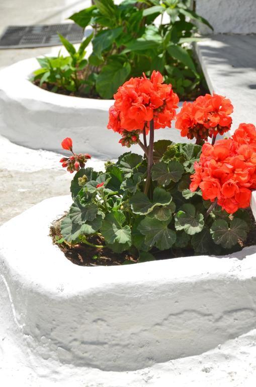 Aparthotel Blue Sky Naxos City Pokoj fotografie